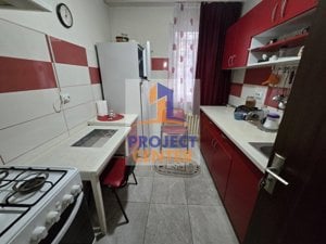 Apartament 2 camere, Banat, etajul 1 - imagine 9