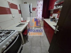 Apartament 2 camere, Banat, etajul 1 - imagine 3