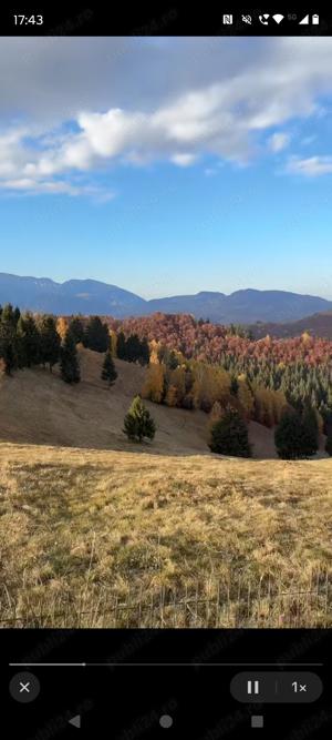 Teren la munte cu izvor pentru casuta de vacanta