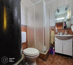 Casa cu doua corpuri de cladire si anexe, teren 1350 mp, Savarsin - imagine 12