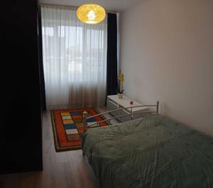 Inchiriez apartament de 2 camere, zona Piata Muncii, cu loc de parcare, petfriendly - imagine 4