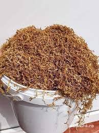 Oferta ! Comandati 4 și primiti5!