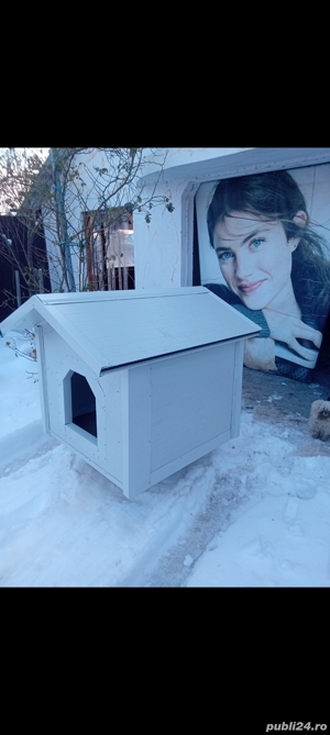 vand cotet de caine talie mare - imagine 2