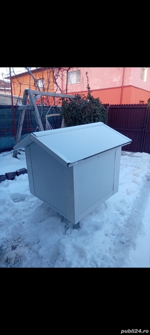 vand cotet de caine talie mare - imagine 5