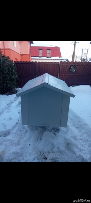 vand cotet de caine talie mare - imagine 4