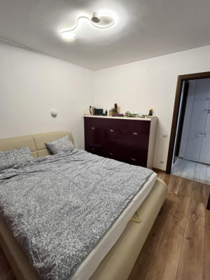 Apartament 3 camere / centrala  / renovat / 2 bai / Fizicienilor - imagine 3