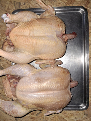 Vând pui gustosi de casa