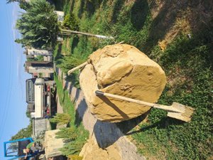 Executam fantani suceava - imagine 3