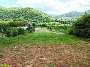 Camping Privat Cerna Valley de Vanzare 5333 mp - imagine 5