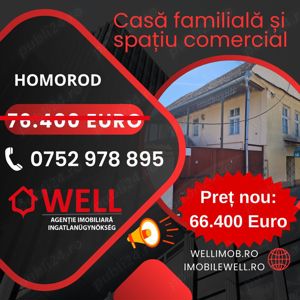 De vânzare casă familială și spațiu comercial în Homorod