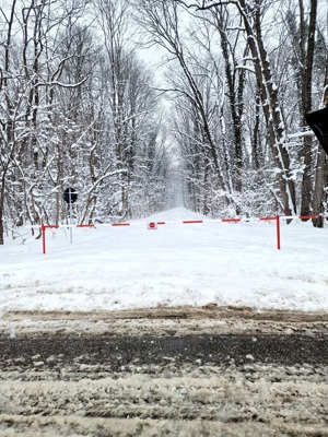 Teren intravilan 12.000mp Padurea Baneasa - imagine 5