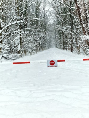 Teren intravilan 12.000mp Padurea Baneasa