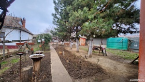 De Vânzare Casa in Săcueni, Bihor - imagine 2 De Vânzare Casa in Săcueni, Bihor - imagine 2