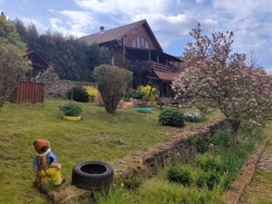 Cabană de lemn în zonă turistică Bihor