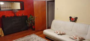 inchiriere apart.2 camere, dristor-park lake,pet friendly, 450 euro - imagine 10