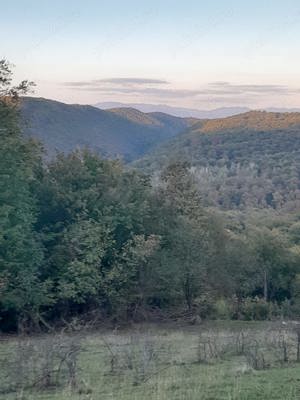 Teren 1,2 HA de vanzare in Maramures