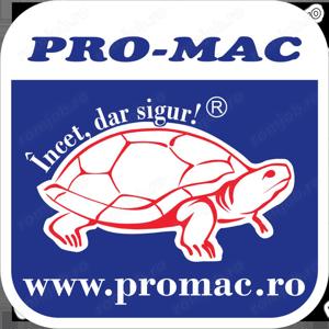 Vânzätoare Magazin Ceramică 