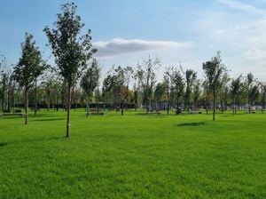 Apartament 2 camere, decomandat, finisaje premium, langa parc Tudor Arghezi - imagine 11