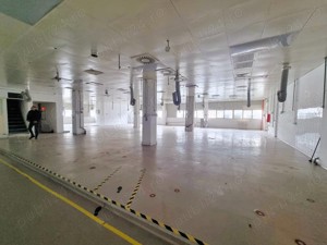 Spatiu Comercial industrial burouri depozit clinica   Dristor, 1300 mp   1620 mp   2920 mp - imagine 4