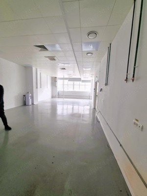 Spatiu Comercial industrial burouri depozit clinica   Dristor, 1300 mp   1620 mp   2920 mp - imagine 7
