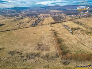 Teren extravilan de 5.800 mp in Sfantu Gheorghe:oportunitate Investie Exploatare agricola - imagine 4