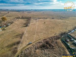 Teren extravilan de 5.800 mp in Sfantu Gheorghe:oportunitate Investie Exploatare agricola - imagine 6