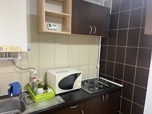 Dambu Pietros - Inchiriere apartament 2 camere - Str. Ciucas - imagine 5