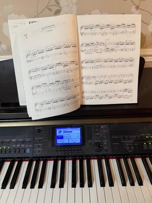 Yamaha Clavinova CVP-501 Digital Piano - imagine 2