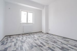 Brancoveanu, Luica, apartament tip studio - imagine 4