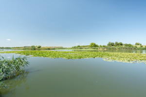 Vila cu piscina pe malul lacului-Ciofliceni-Snagov  - imagine 5