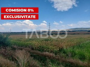 Teren extravilan agricol 6634 mp utilitati acces auto Santimbru Alba 