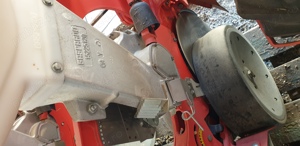 Semanatoare prasitoare +prasitoare 