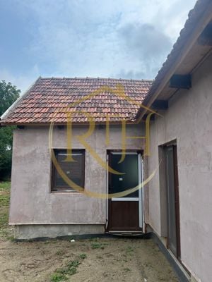 Casa plus teren de vânzare în Balinț,comision ,,0'' - imagine 12