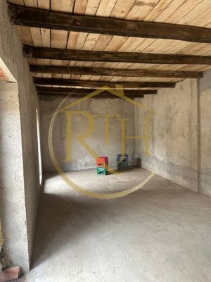 Casa plus teren de vânzare în Balinț,comision ,,0'' - imagine 11