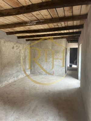 Casa plus teren de vânzare în Balinț,comision ,,0'' - imagine 10