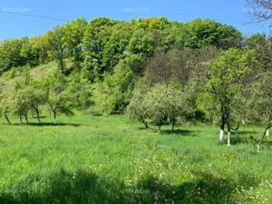 Vand teren in zona Sighetu Marmatiei - imagine 7