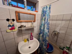 Casa de vanzare, 2 camere, 80 mp, zona Marius, lângă Valea Vinului - imagine 7