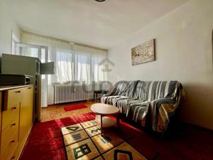 Apartament 2 camere, pet-friendly, Piata Operei - imagine 8