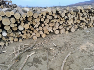 vand lemne de foc esenta tare acati