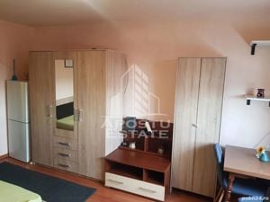 Apartament 1 camera, Centrala Proprie, Zona Buziasului - imagine 2