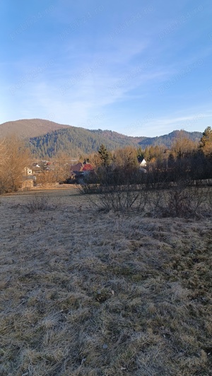 Teren de vinzare in Putna Jud.Suceava - imagine 9