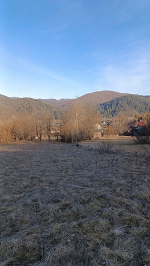 Teren de vinzare in Putna Jud.Suceava - imagine 10