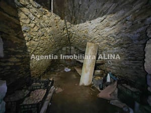 Casa si teren in Satul Bobalna din Comuna Rapoltu Mare, Judetul Hunedoara... - imagine 8