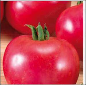 50 Seminte de Tomate Bacuni visiniu - Soi romanesc cu seminte putine