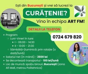 Angajare la curățenie - București 