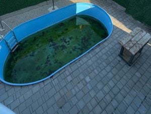 Casă Individuală cu Piscină, Garaj, Jacuzzi, Saună   COMISION 0% - imagine 2