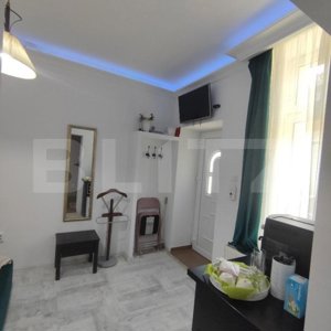 De vanzare doua garsoniere, 2 camere, 30 mp, zona ultracentrala - imagine 14