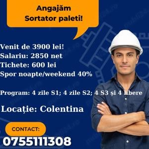 Sortator paleți - venit 3900 net