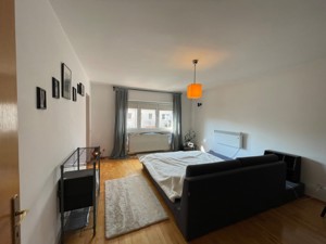 Vila Duplex de Inchiriat in Iancu Nicolae - Jolie Ville, complex Gamma - imagine 10