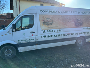 Crafter de vanzare - imagine 3